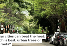 Trees like these in Boston can help keep neighborhoods cooler on hot days. Yassine Khalfalli/Unsplash, CC BY